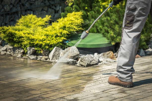 Best Solar Panel Cleaning  in Guttenberg, IA