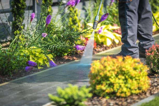 Best Fence Cleaning  in Guttenberg, IA